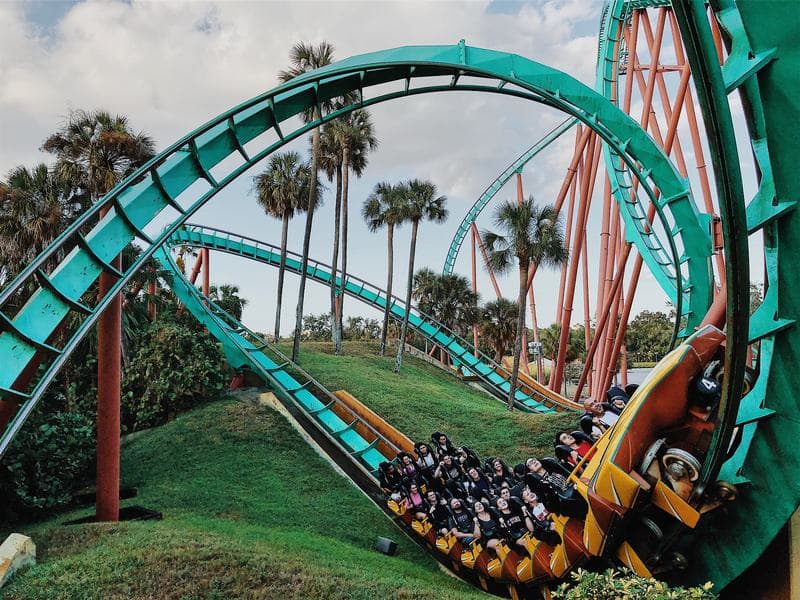 A teal roller coaster looping through palm trees at a theme park
