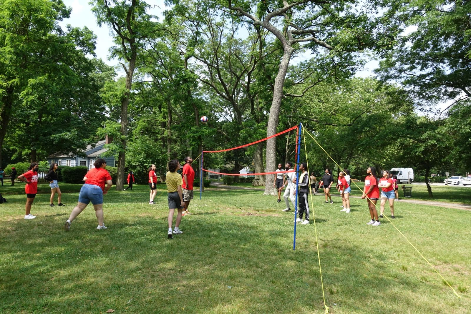 A volleyball game on the grass under the trees