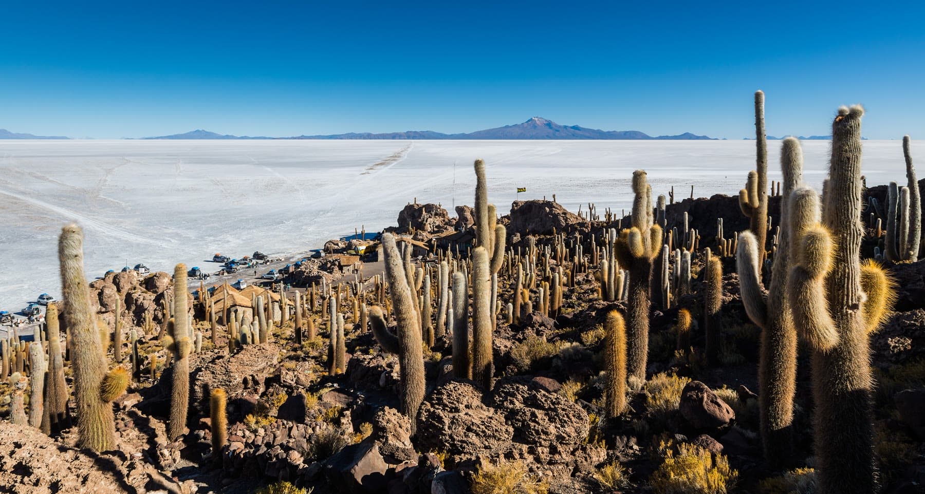 Isla del Pescado rising from the Salar de Uyuni in Bolivia