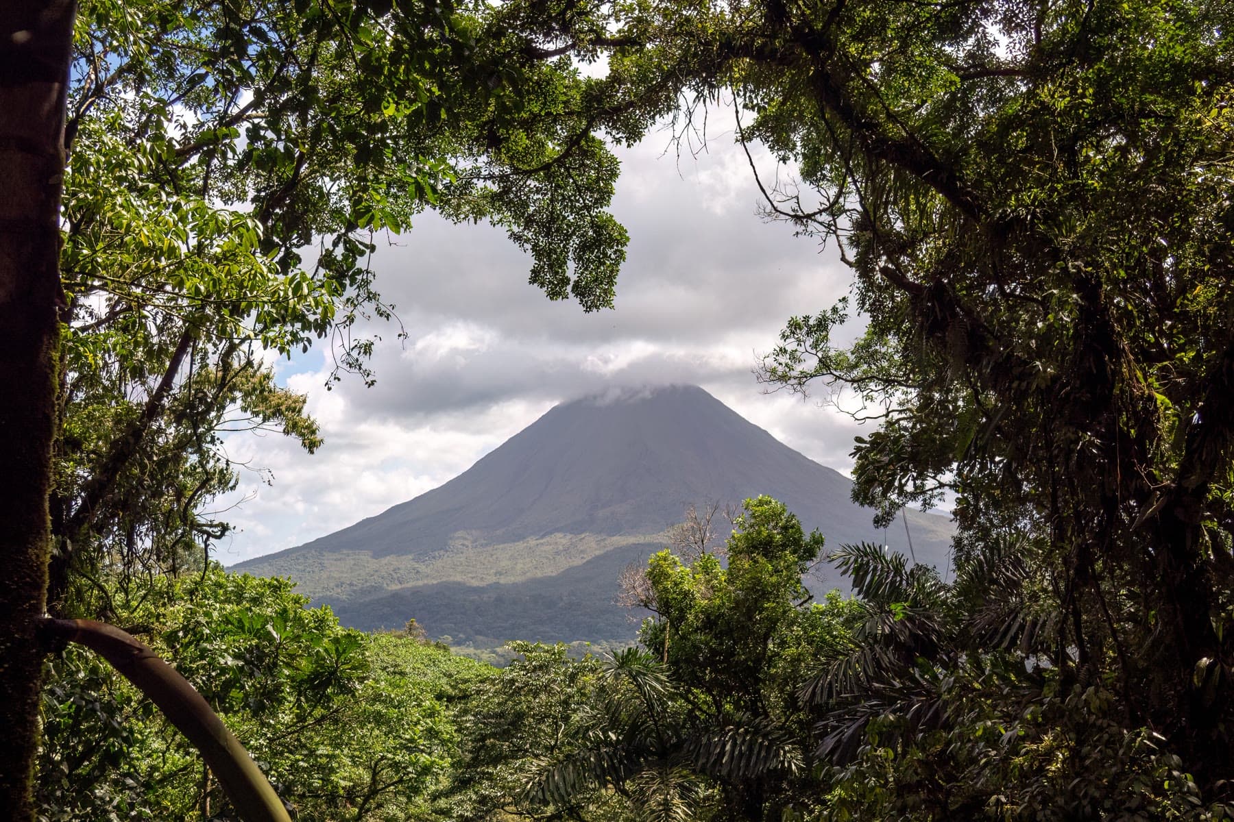 Arenal Volcano framed by rainforest in Costa Rica