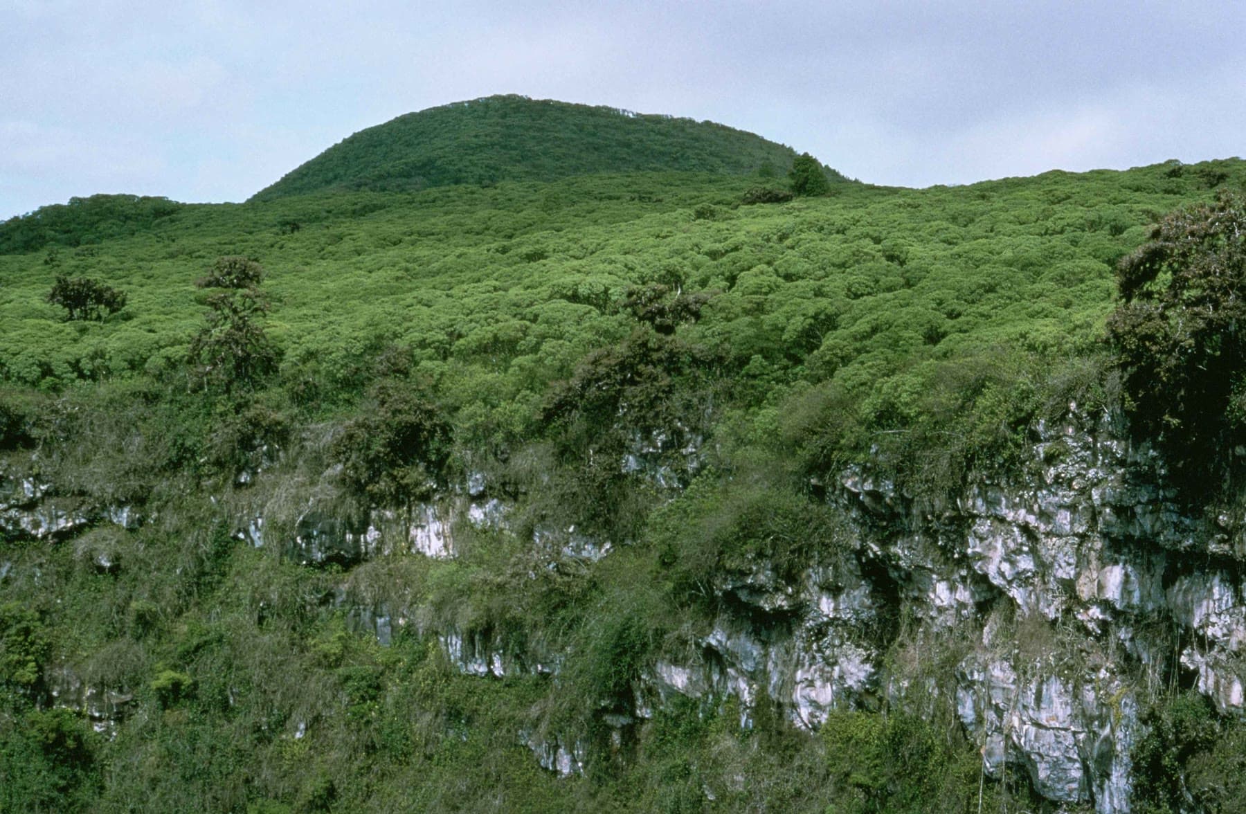 Green hills and cliffs in the Galápagos Islands