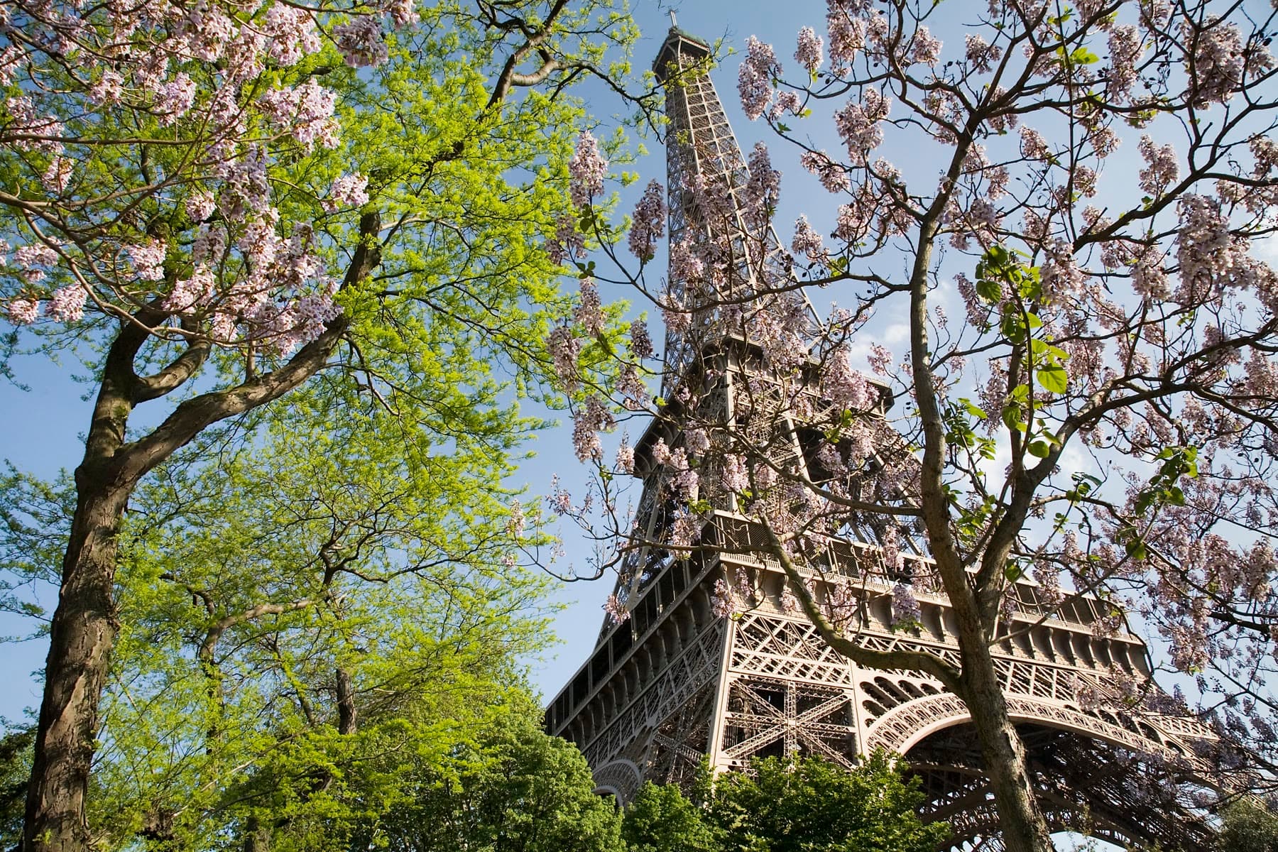 The Eiffel Tower and the Champ de Mars in spring
