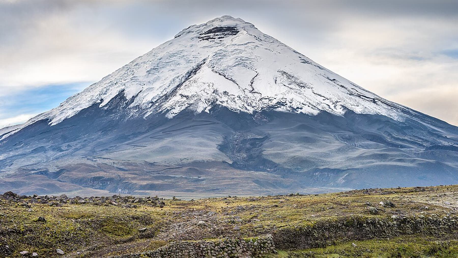 Snow-capped Cotopaxi volcano above the Andean grassland in Ecuador