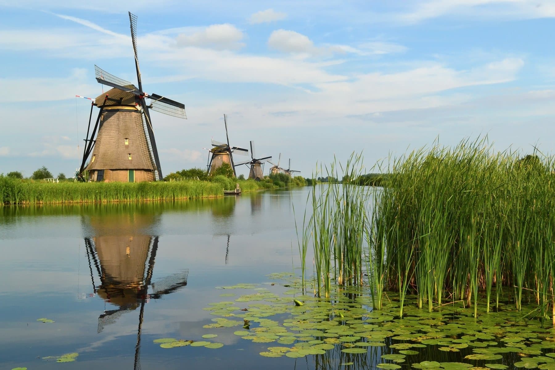 Windmills along the canal at Kinderdijk