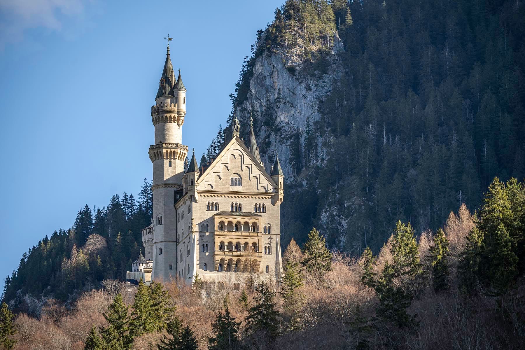 Neuschwanstein Castle on a forested ridge in Bavaria