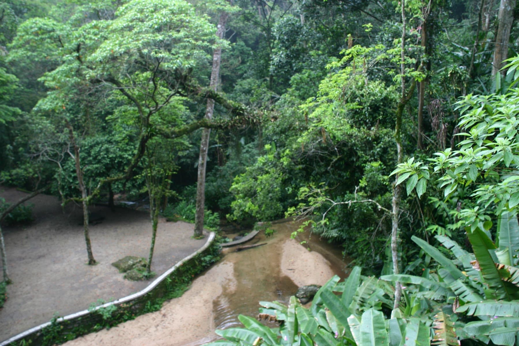 A stream through the Atlantic forest in Tijuca National Park, Rio de Janeiro